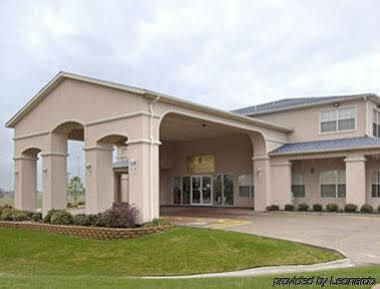 Super 8 By Wyndham Greenville Exteriér fotografie